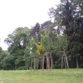 Park Kownasa