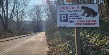 ropuchy3.jpg