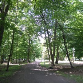 Park Chopina